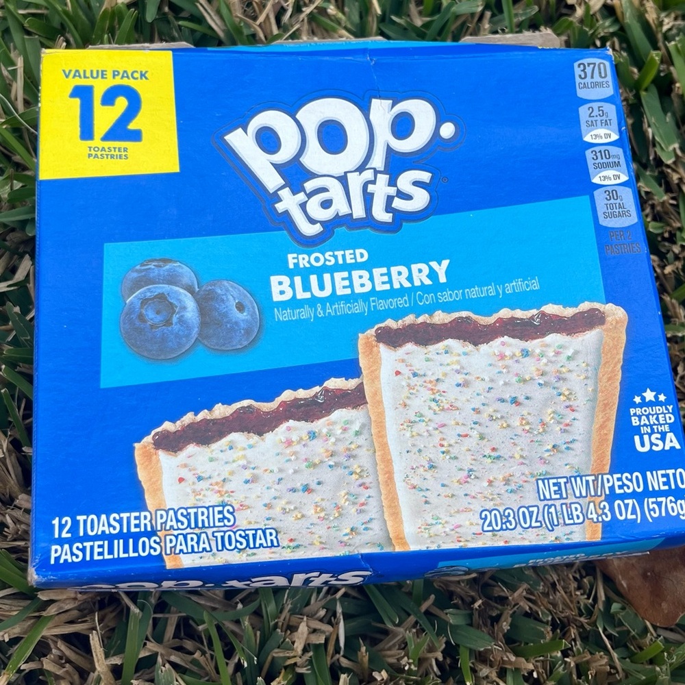 Frosted Blueberry Toaster Pastries